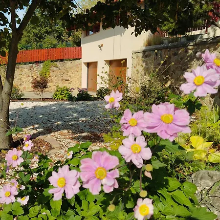 Hosszuhegyi Holiday home *